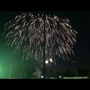 Meet your Posher, Jayne